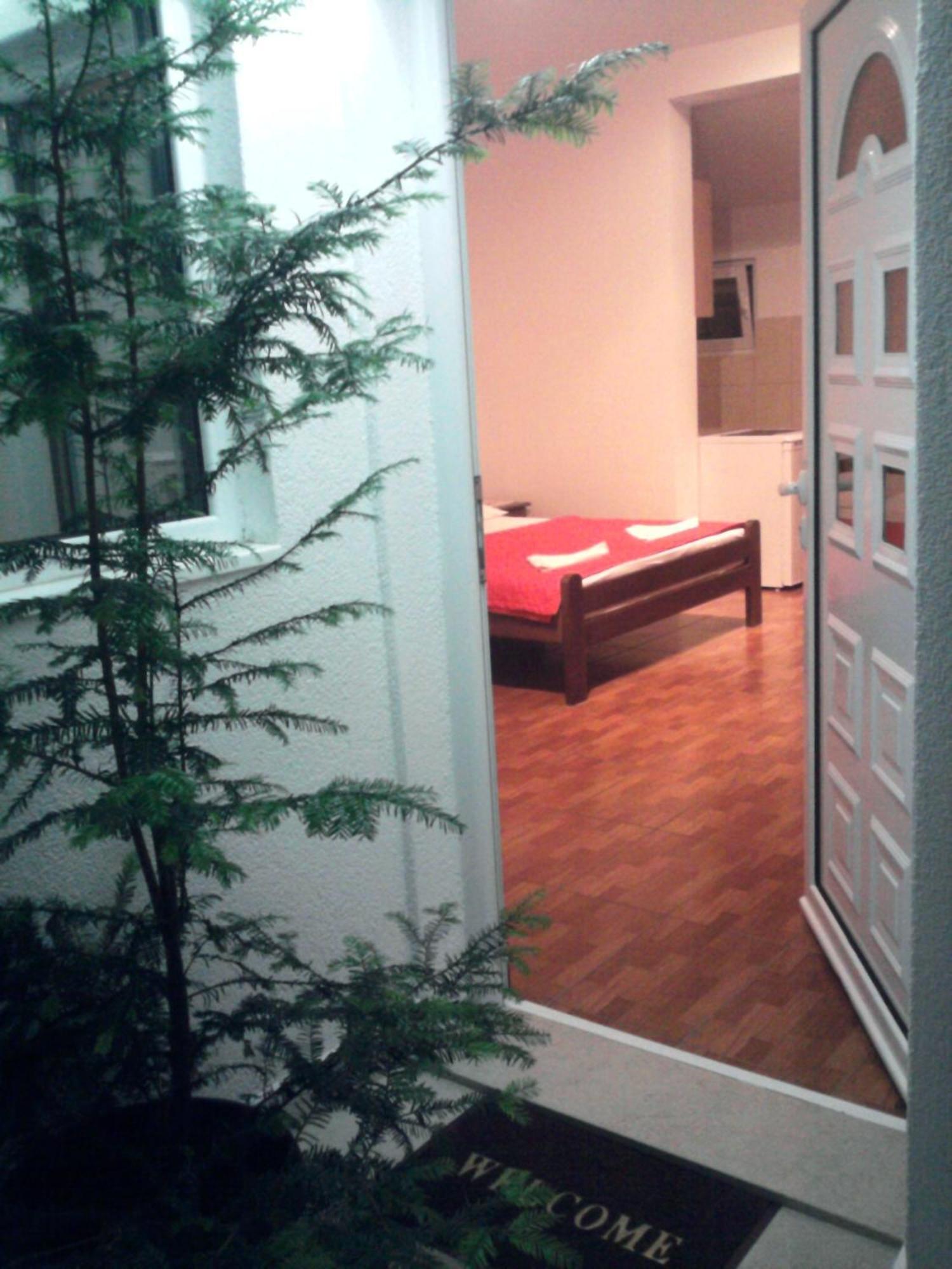 Oaza Guest House Sveti Stefan Pokoj fotografie