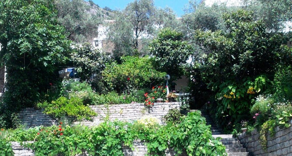 Oaza Guest House Sveti Stefan Exteriér fotografie